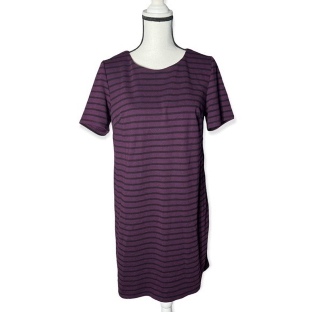 NWT - GNW Women’s Zip-Up Back Dress (Purple with Black Striped, Medium)